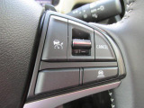 アダプティブクルーズコントロールで高速での運転がラクになります(^_^.)