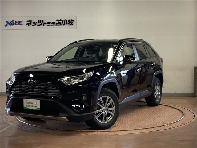 RAV4 2.0 G 4WD（6BA-MXAA54）