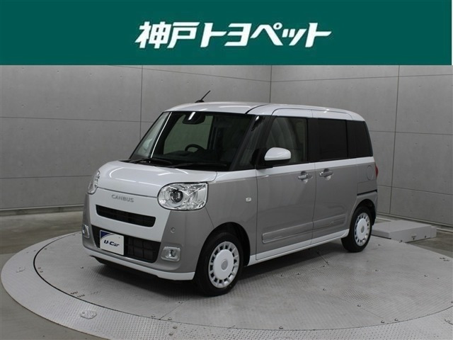 ムーヴキャンバス  ストライプス G