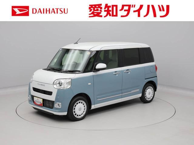 ムーヴキャンバス  ストライプス G