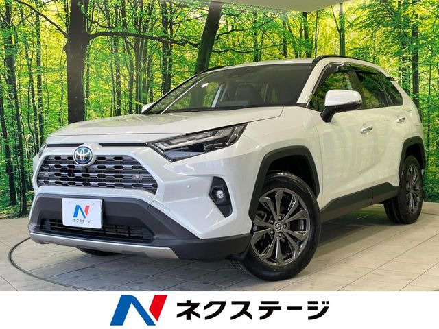 RAV4 2.5 ハイブリッド G E-Four 4WD （6AA-AXAH54）