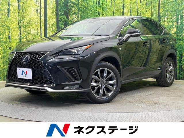 NX 300h Fスポーツ （DAA-AYZ15）