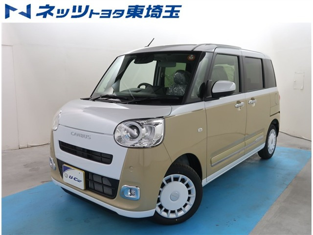 ムーヴキャンバス  ストライプス G