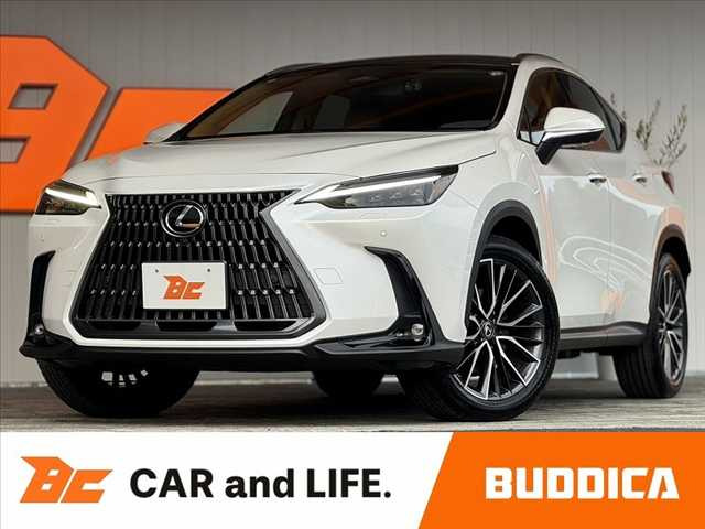 NX 250 バージョンL NX 250 バージョンL