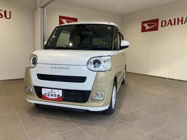 ムーヴキャンバス  ストライプス G