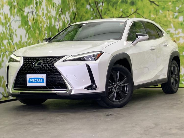 UX 250h バージョンC 