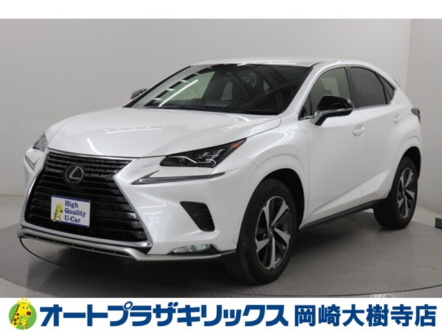 NX 300 スパイス&シック（3BA-AGZ10）