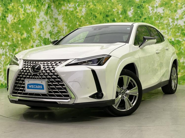 UX250h グレイスフル エクスプローラー