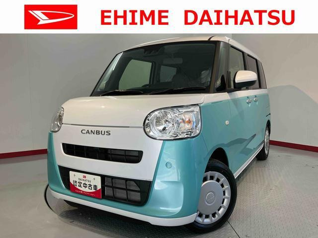 ムーヴキャンバス  ストライプス X