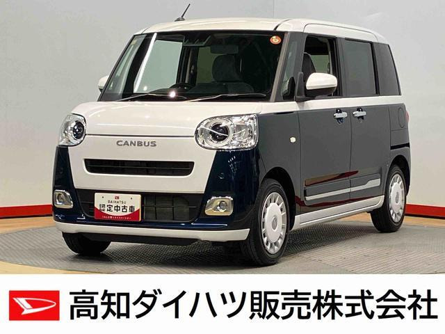 ムーヴキャンバス  ストライプス G