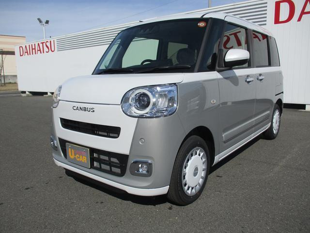 ムーヴキャンバス  ストライプス G