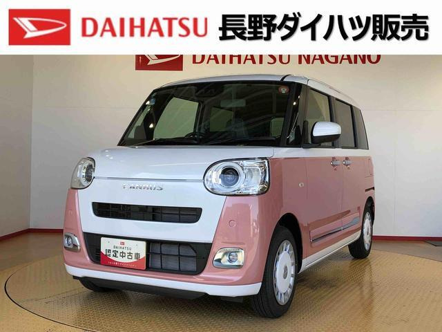 ムーヴキャンバス  ストライプス G