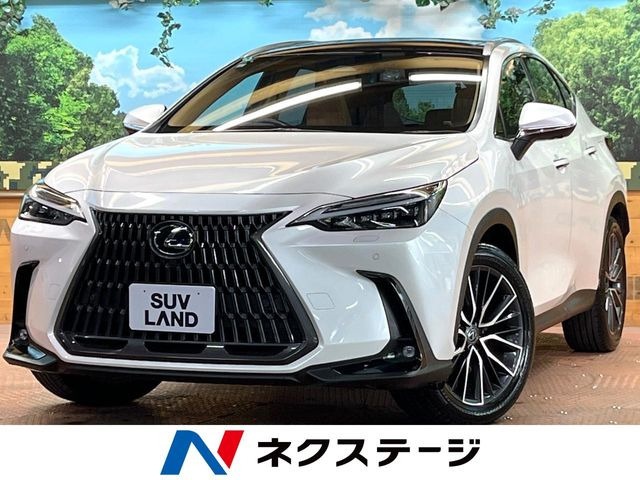 NX 350h バージョンL （6AA-AAZH20）