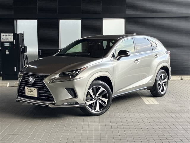 NX 300 スパイス&シック