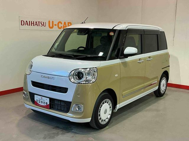 ムーヴキャンバス  ストライプス G