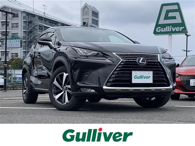 NX 300 バージョンL 本革シート 修復歴無し（DBA-AGZ10）