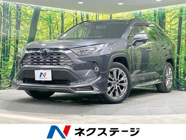 RAV4 2.0 G Zパッケージ 4WD 