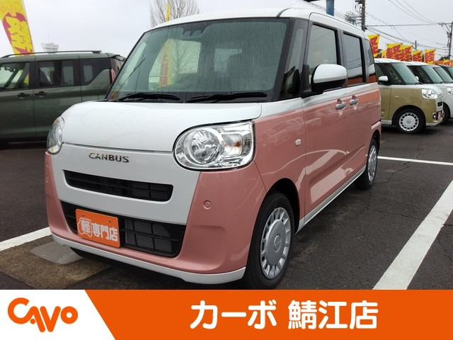 ムーヴキャンバス  ストライプス X