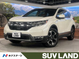 パノラマ 茶革シート 純正ナビ バックカメラ ブラインドスポット