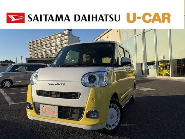 ムーヴキャンバス  ストライプス G