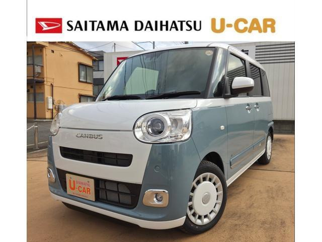 ムーヴキャンバス  ストライプス G