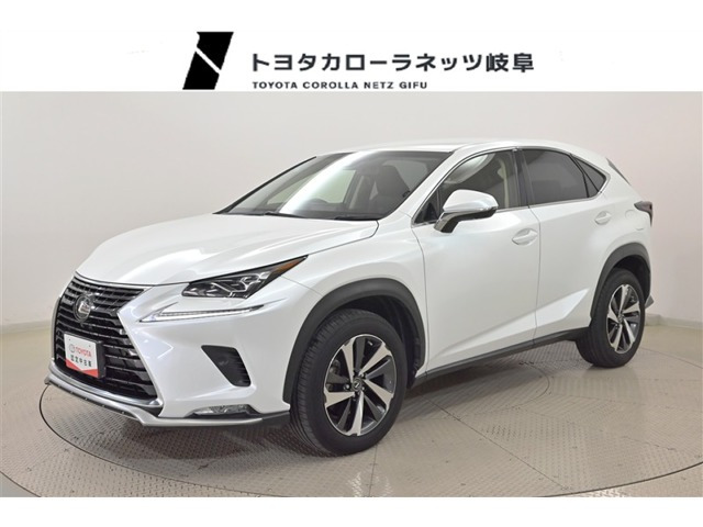 NX 300 Iパッケージ