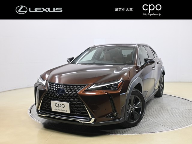 UX250hブラウン エディション