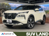 純正12.3型ディスプレイ 全周囲カメラ プロパイロット