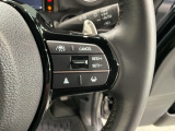 クルーズコントロールを装備しています。高速道路などで一定の速度で走ってくれるので運転が楽ですよ!速度を設定できますので、スピードの出しすぎにも注意できます。