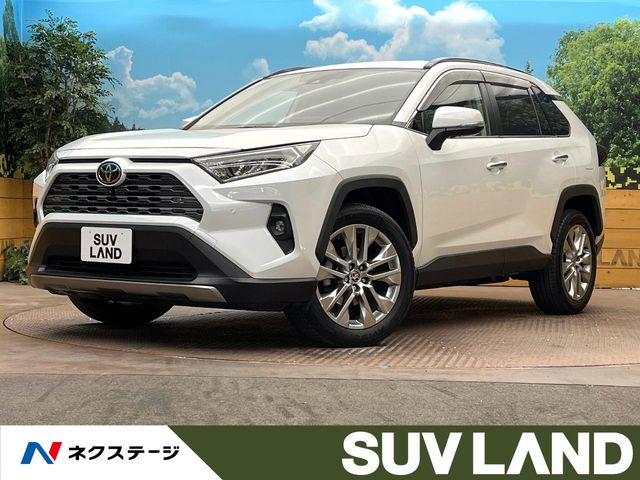 RAV4 2.0 G Zパッケージ 4WD （6BA-MXAA54）