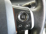 ステアリングスイッチで車両情報を切り替えて必要な必要な情報を確認したりできます。
