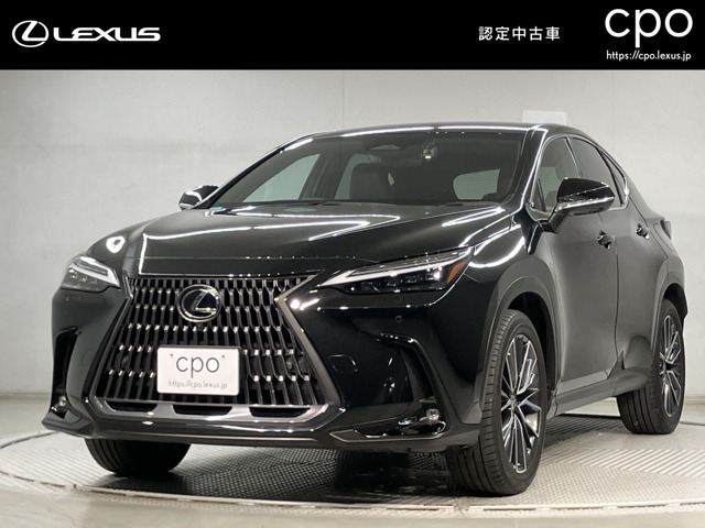 NX 350h バージョンL （6AA-AAZH20）