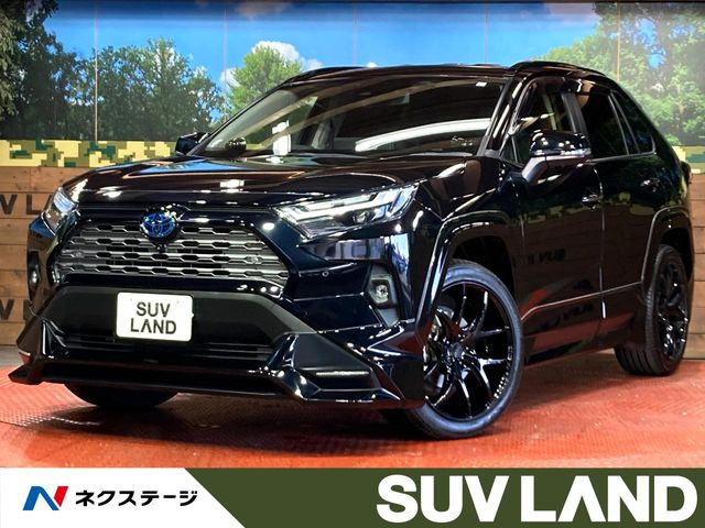 RAV4 2.5 ハイブリッド G E-Four 4WD （6AA-AXAH54）