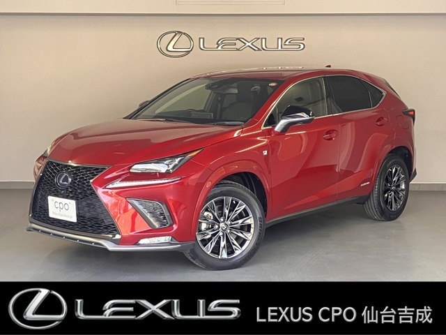 NX 300h クール&ブライト 4WD