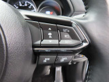 前車追従機能付きのレーダークルーズを備えています。自動で車間距離を調整してくれますので、アクセル操作の疲労軽減に繋がります。特に長距離を帰省される方にはお奨めですよ。