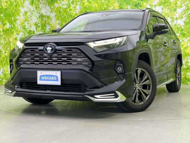 RAV4 2.5 ハイブリッド G E-Four 4WD （6AA-AXAH54）