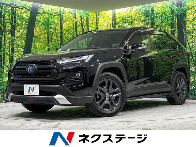 RAV4 2.5 ハイブリッド アドベンチャー E-Four 4WD （6AA-AXAH54）