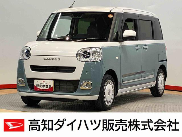 ムーヴキャンバス  ストライプス G