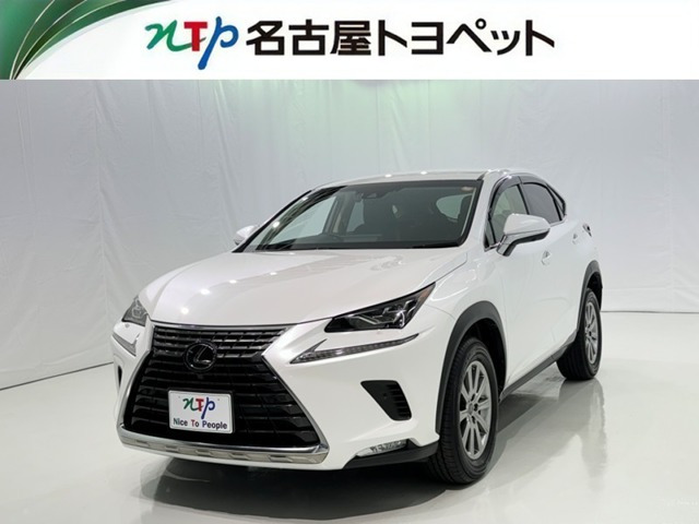 NX 300 Iパッケージ