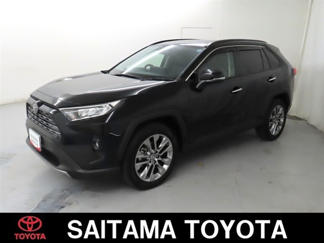 RAV4 2.0 G Zパッケージ 4WD（6BA-MXAA54）