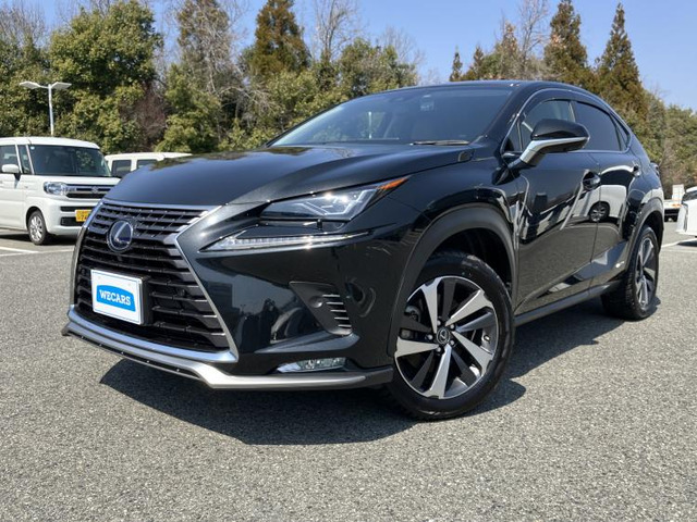 NX 300h バージョンL 