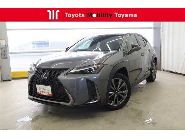 UX 250h Fスポーツ 