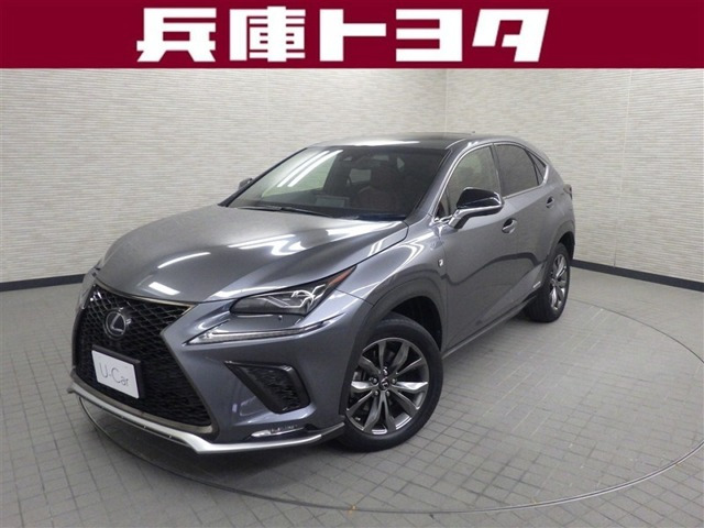 NX 300h Fスポーツ 
