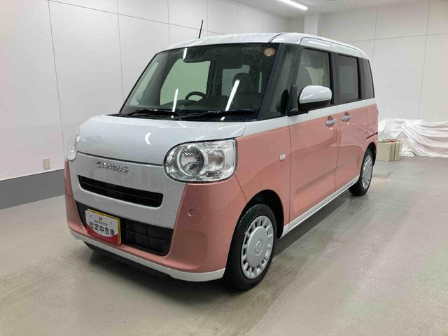 ムーヴキャンバス  ストライプス X