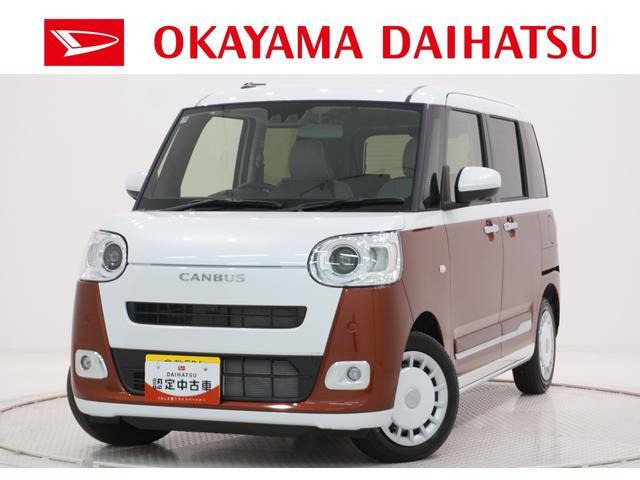 ムーヴキャンバス  ストライプス G