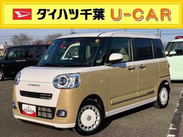 ムーヴキャンバス  ストライプス G