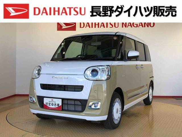 ムーヴキャンバス  ストライプス G