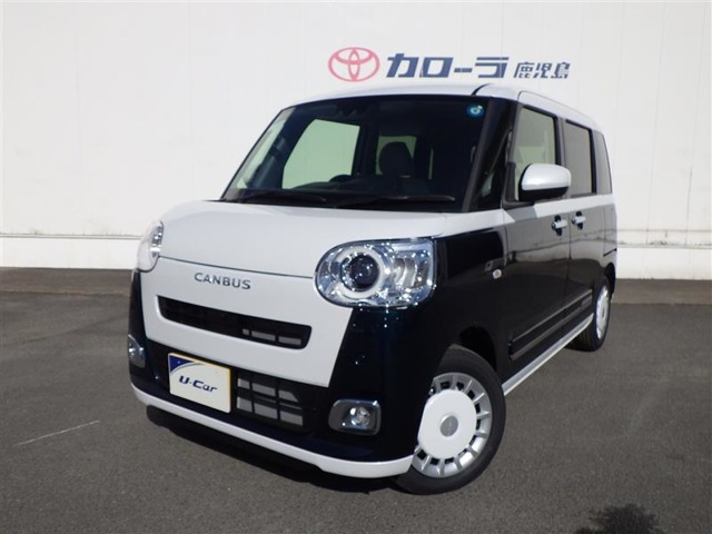 ムーヴキャンバス  ストライプス G