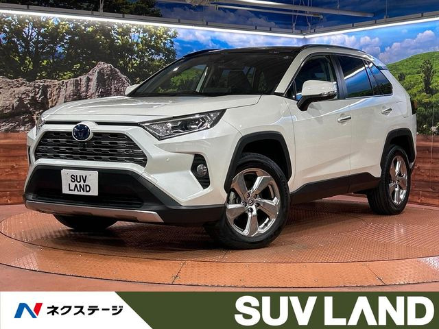 RAV4 2.5 ハイブリッド G E-Four 4WD （6AA-AXAH54）