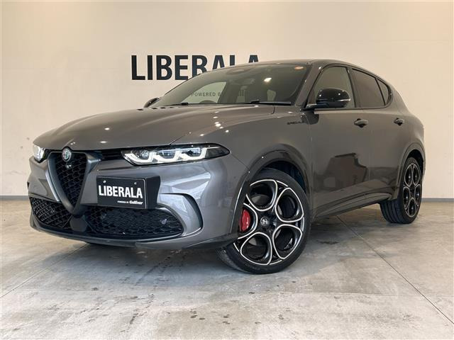 トナーレエディツィオーネ スペチアーレ本革シート 修復歴無し